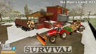 Survival in No Man's Land #23🔸Ploughing Snow. Transporting & Selling Planks & Timber🔸FS22🔸4K