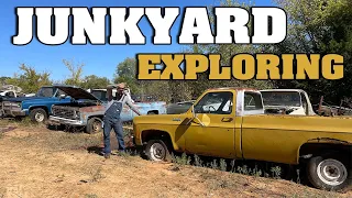 Junkyard Walk through. My favorite find yet, HID IN THE WOODS!