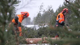 Viimeinen työpäivä