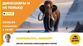 Занятие "Знакомьтесь, мамонт!" кружка "Динозавры и не только" с Ярославом Поповым