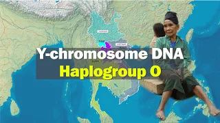 Subclade  Distribution of Y-chromosome DNA Haplogroup O