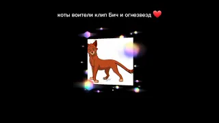 коты cats  воители warriors  клип Бич и огнезвезд {Firestar and Scourge}