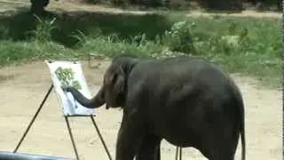 Слон - художник, Таиланд.