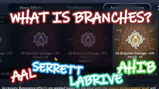 #9 Best Branches Damage Combination & Explanation - Black Desert Mobile