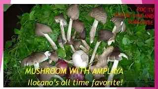 MUSHROOM WITH AMPLAYA RECIPE - ILOCANO'S ALL TIME FAVORITE