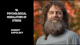 18. Psychological Modulators of Stress - Robert Sapolsky