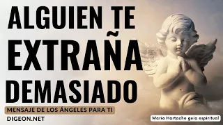 💌MENSAJE de los ÁNGELES PARA TI - DIGEON- ALGUIEN TE EXTRAÑA DEMASIADO - Arcángel Rafael💚