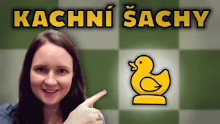 Vše o KACHNÍM ŠACHU!!! (včetně terminologie!)