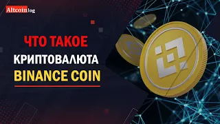 Что такое криптовалюта Binance Coin (BNB): обзор