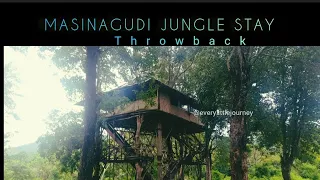 Masinagudi Jungle Stay lTree House|Nature WalklJungle Safari| Wild life