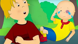 Caillou ve Zorba | Caillou Türkçe - WildBrain