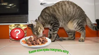 Самый лучший влажный корм для кота