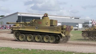 Tiger 131   Tiger Day September 2018