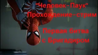 Marvel's Spider-Man / Человек-Паук. Первая битва с Бригадиром (Taskmaster)