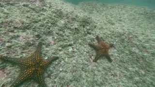 Scuba Diving Zihuatanejo