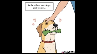 Dog Logic | ( Adorable Animal Comics) Comic Dub