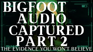 BIGFOOT AUDIO EVIDENCE PART 2 | DID WE CAPTURE BIGFOOT ON OUR RECORDERS???