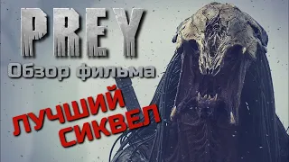 ХИЩНИК 5 | ДОБЫЧА | PREY - ОБЗОР ФИЛЬМА | ЛУЧШЕЕ ПРОДОЛЖЕНИЕ ХИЩНИКА | 2022