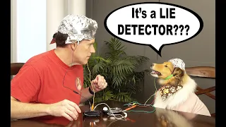 "Lie Detector???  I got SECRETS You Know!" 🐶🤖 a Biscuit Talky on Cricket the sheltie Chronicles e137