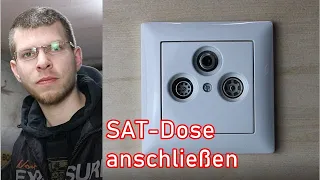 SAT-Dose anschließen! ElektroM