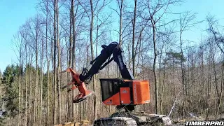 TimberPro TL755D Fellerbuncher cutting with a Quadco 27sc hot saw