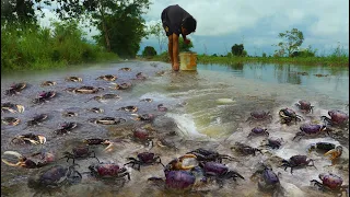 Wow wow amazing catching crabs along flow water when flood on road by a fisherman hand skill