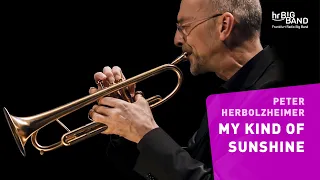 Herbolzheimer: "MY KIND OF SUNSHINE" | Frankfurt Radio Big Band | Jazz | Funk