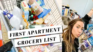 The Ultimate First Apartment Grocery List - HUGE Grocery Haul