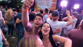 Sommerwiese 2017