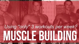 Build muscle on "only" 3 days of training per week?