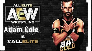 Adam Cole Custom AEW Theme Song "Something For You Bay Bay" (ROH & NJPW Theme Mashup)