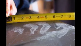 "Huge Bigfoot Handprint"