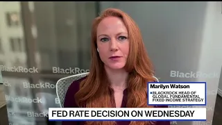 Fed on Hold, May Cut Rates Next Year: BlackRock's Watson