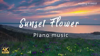 4k drone beautiful nature video - 🌷Flower garden at sunset | Relaxing piano music | planet earth