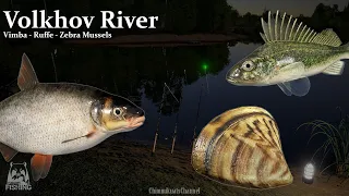 Calming Time~ Hunting Vimba in Volkhov River ft. Ruffe - Zebra Mussel - Perch (RF4)