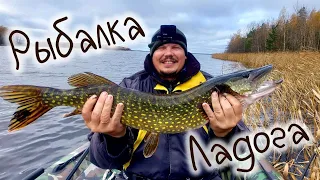 РЫБАЛКА НА ЩУКУ И ОКУНЯ, ЛАДОЖСКОЕ ОЗЕРО,FISHING FOR PIKE AND PERCH, LADOGA LAKE