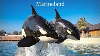 Marineland 🫶 Francе 🇫🇷 Nice. Attractions. #Newvideo #music #beautiful #france #tiktok #new #kids