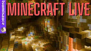 MINECRAFT LIVE - Time For The Nether?