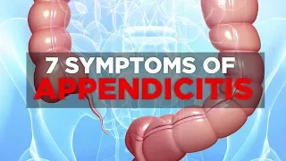 7 Symptoms of Appendicitis | Health