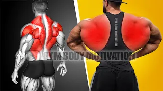 7 Effective Exercises to Get a Bigger Back (Upper, Middle and Lower Back Workout)