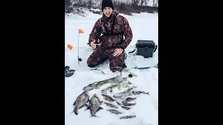 Лещ на мормышку. Ловля окуня на балансир. Щука на жерлицы. Удачная зимняя рыбалка.