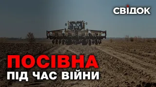 Посівна під час війни. Окупанти знищили техніку та не дали зібрати врожай.