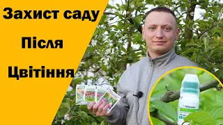 Обробка саду після цвітіння. Хвороби і шкідники яблуні, черешні, персика. Міравіс - від усіх хвороб