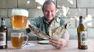 Пью пиво "КАБАН" под рыбу тарань...