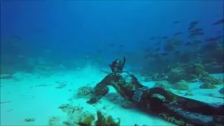 chasse sous marines Polynésie tuamotu rangiroa