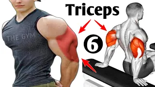 6 BEST Exercises for Big Triceps Workout At Gym