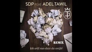 SDP feat. Adel Tawil - Ich will nur dass du weißt (TheJan Remix)