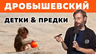 Дробышевский. Детки и предки