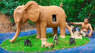 Rescue Dogs and Build Elephant Dog House for Puppies