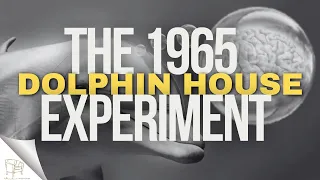 The 1965 Dolphin House Experiment